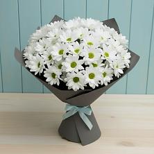 Букет белые хризантемы в Крыловской Букет цветов из:  Хризантемы в Крыловской