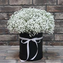 Композиция коробка гипсофил в Крыловской Цветочная композиция из Гипсофила в шляпной коробке в Крыловской